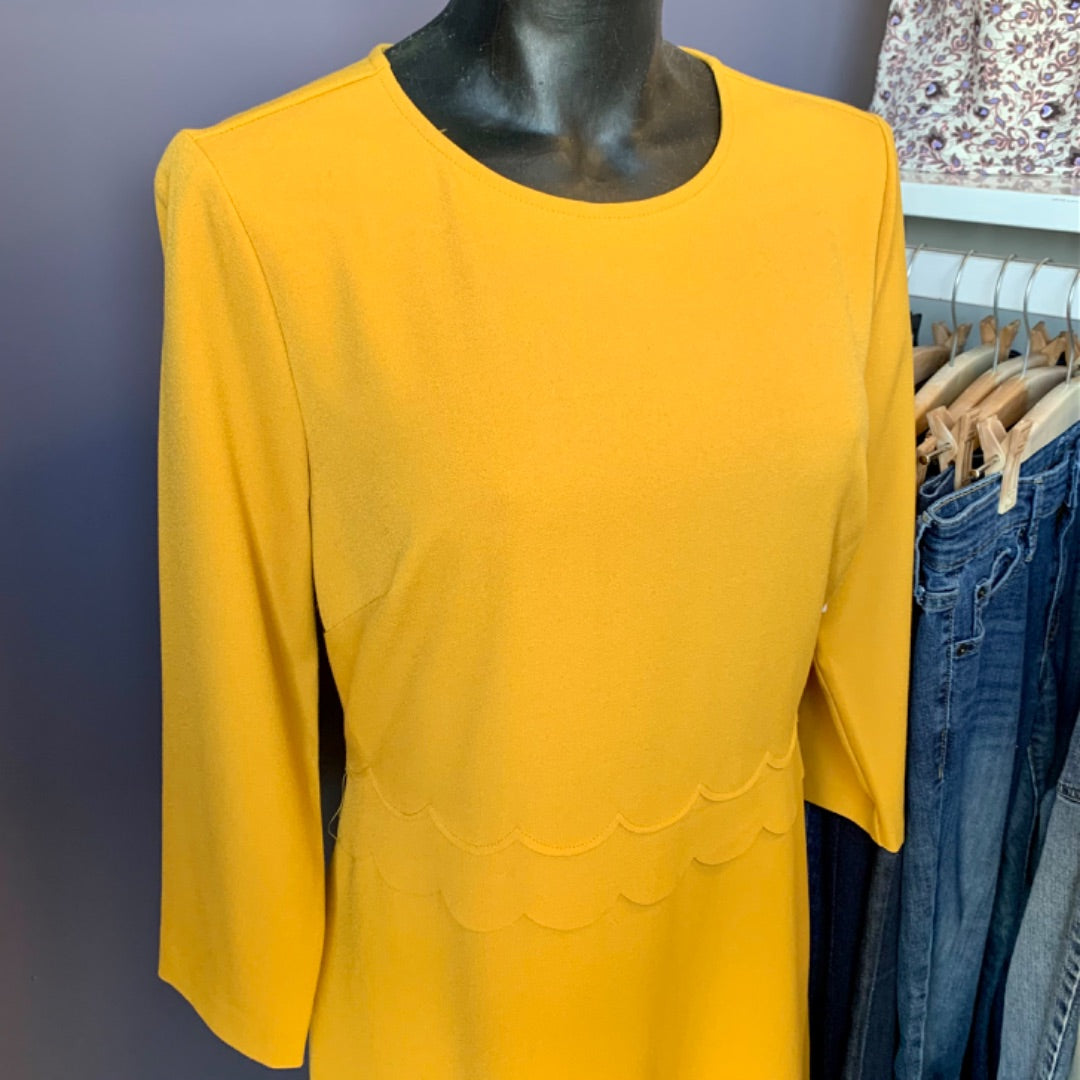Banana Republic, Size 6 Ocher