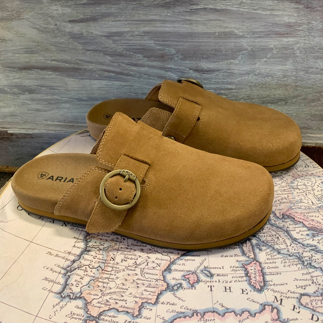 Ariat, Footwear, Size 10 Tan