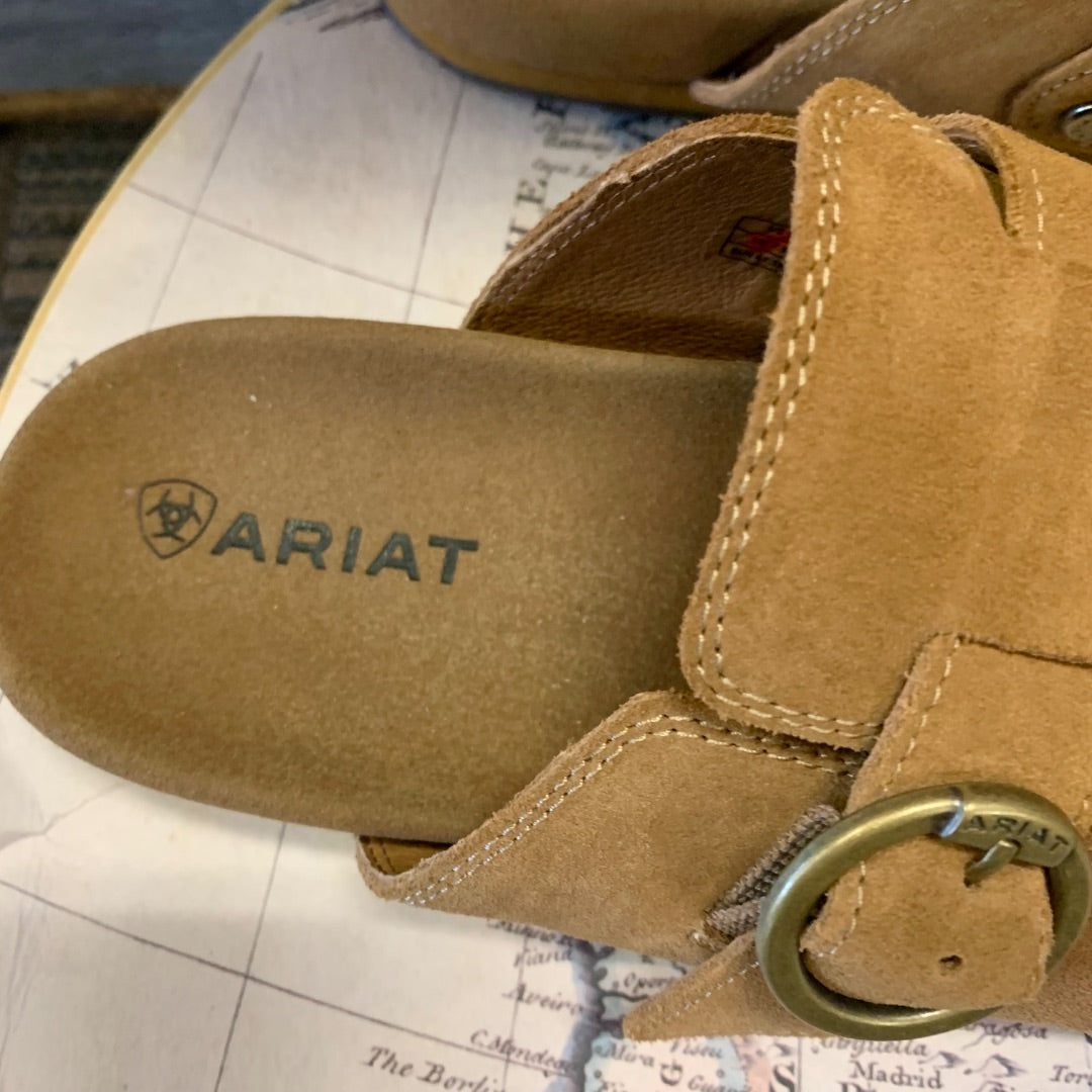 Ariat, Footwear, Size 10 Tan