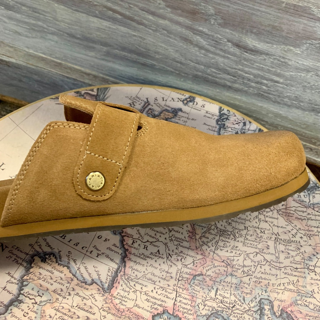 Ariat, Footwear, Size 10 Tan